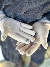 Season Greetings Gloves