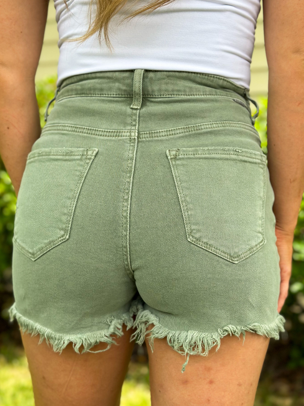 Risen High Rise Folded Waist Shorts