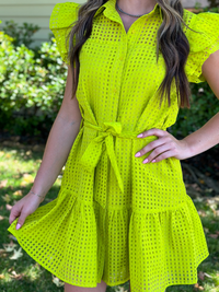 Collared Ruffle Sleeve Mini Dress