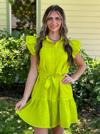 Collared Ruffle Sleeve Mini Dress