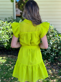 Collared Ruffle Sleeve Mini Dress