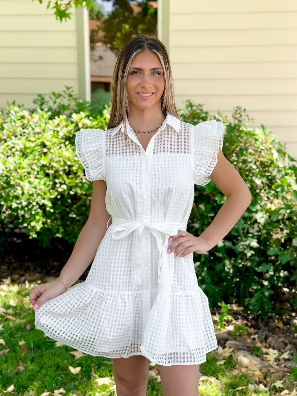 Collared Ruffle Sleeve Mini Dress